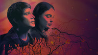 «Цветок зла (2022)» — обои к сериалу #1