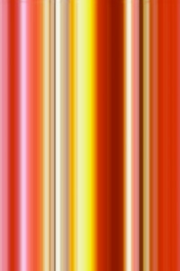 Tulipa (2008) poster