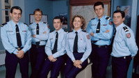 «Женщина чести (1996-2008)» — обои к сериалу #3