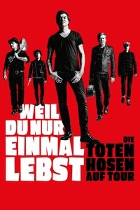 Imagem do Filme Die Toten Hosen auf Tour - Weil du nur einmal lebst