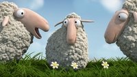 Lambs