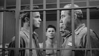 «Большой дом (1955)» — обои к фильму #3