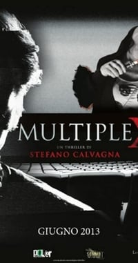 MultipleX (2013)