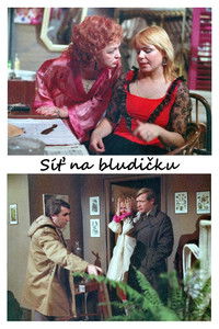 poster_Síť na bludičku