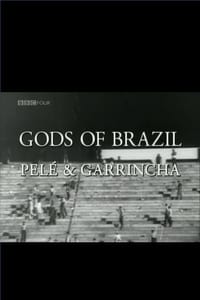 Pelé, Garrincha, dieux du Brésil (2002)