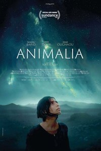 Animalia (2023) poster