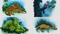 Tank's Sleep Over