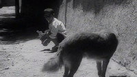 «Хлеб и проулок (1970)» — обои к фильму #2