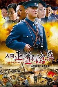 人间正道是沧桑 (2009)