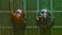 Обои к фильму «Хлоп — и ты труп (1974)» — (17 из 27)