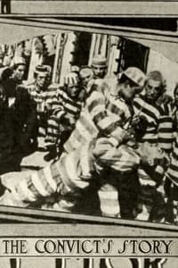 The Convict's Story (1914)