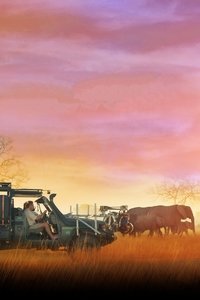 movie-images