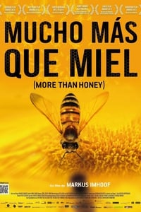 Poster de More Than Honey