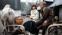 «Барышни из Вилько (1979)» — обои к фильму #8