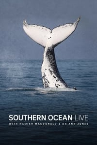 Southern Ocean Live (2022)