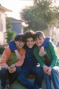 Постер сериала «Чудесные годы (1988-1993)» — (13 из 27)