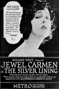 Poster de The Silver Lining