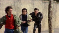 «Родина крысы (1981)» — обои к фильму #1