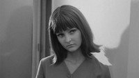 «Жена моего брата (1966)» — обои к фильму #4