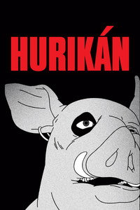 Hurikán