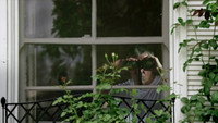 «The Whistler (2015)» — обои к фильму #1