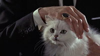 Обои к фильму «Доктор Ноу (1962)» — (17 из 34)