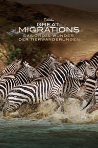 Movieposter Das große Wunder der Tierwanderungen