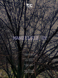 Manzilsiz uy