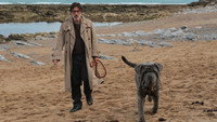 «Моя собака Идиот (2019)» — обои к фильму #4