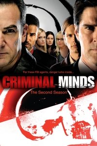 Criminal Minds 2×3