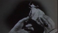 «Ожидание (1962)» — обои к мультфильму #1