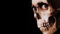 Evil Dead 2