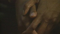 «Non, je ne regrette rien (1993)» — обои к фильму #2