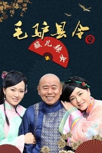 毛驴县令之酸儿辣女 (2014)