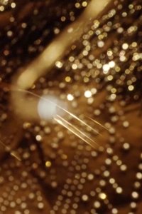 movie-images