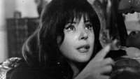 «Огонь в крови (1966)» — обои к фильму #2