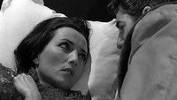 «Демаркационная линия (1966)» — обои к фильму #2