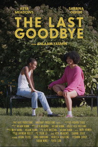 The Last Goodbye (2025) poster