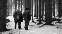 «Odborný dohled nad výkladem snu (2018)» — обои к фильму #1