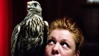 Falcons