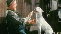 «It's a Dog's Life (1955)» — обои к фильму #1