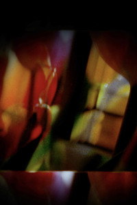 SEAM (2021) poster