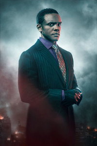 Постер сериала «Готэм (2014-2019)» — (14 из 161)