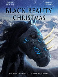 Poster de Black Beauty's Christmas