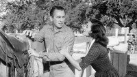 «Незнакомец у моей двери (1956)» — обои к фильму #7