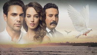 «Расскажи мне, как любить (2016)» — обои к сериалу #1