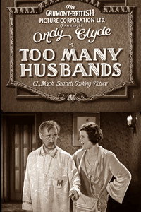 Too Many Husbands