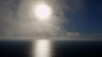 «Aware: Glimpses of Consciousness (2021)» — обои к фильму #3