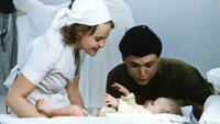«...А зори здесь тихие (1972)» — обои к фильму #2