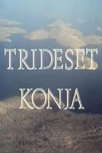 Poster de Trideset konja